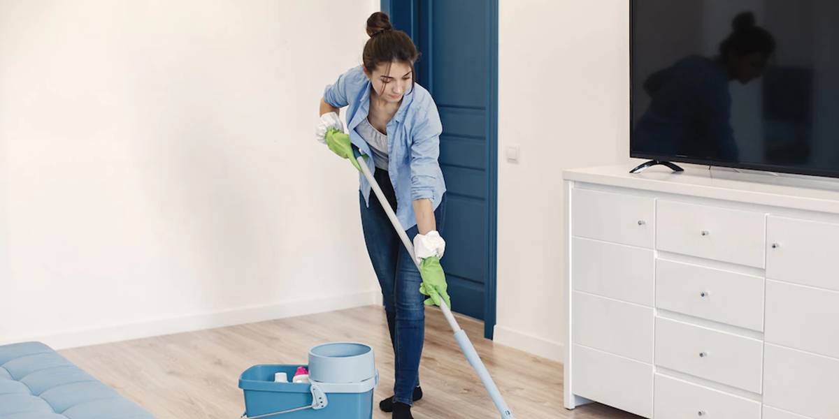 Ev Temizliği